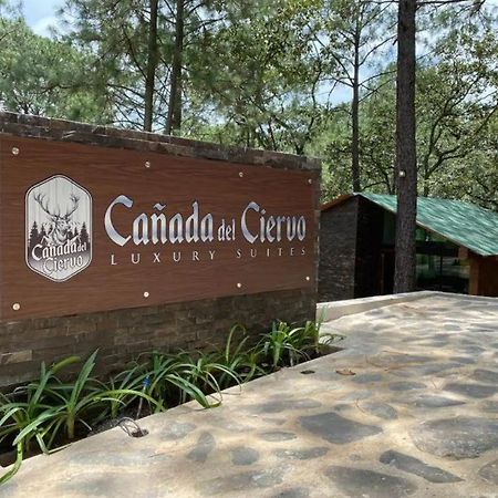 Cabana De Lujo Con Jacuzzi A 10 Min Del Pueblo Mazamitla Eksteriør bilde